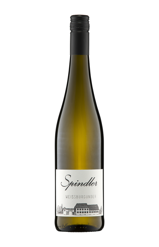 Spinweissburgunder1920x1920